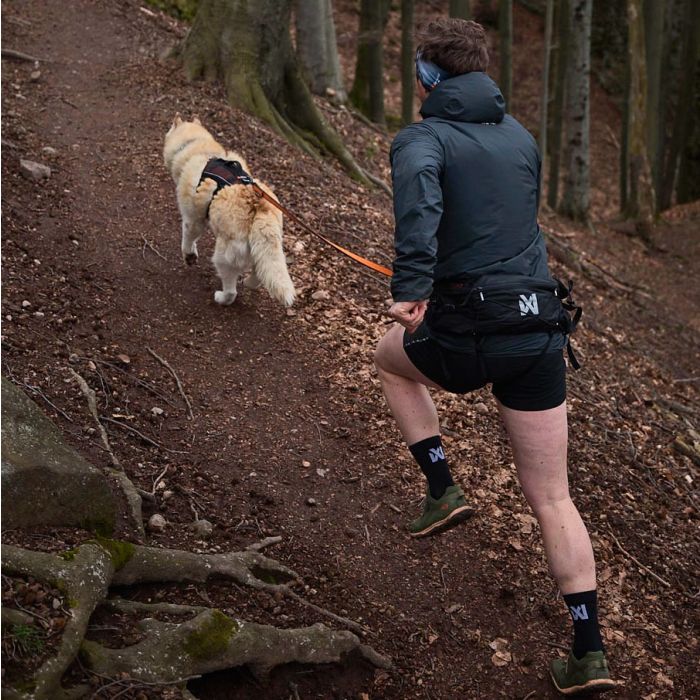 Non-stop dogwear Trail Light Belt