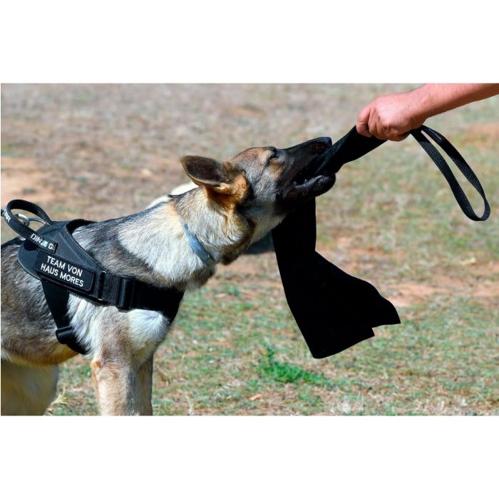 Dingo Gear Trapo largo de cuero con asa