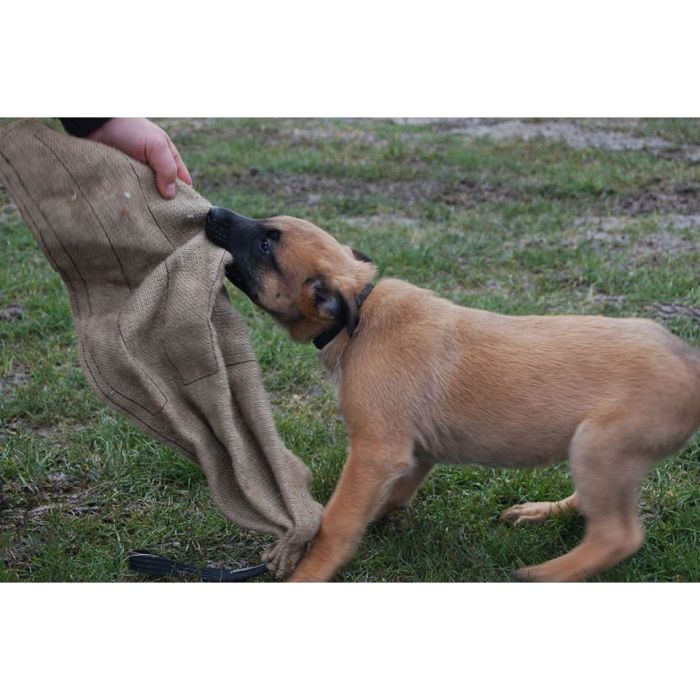 Dingo Gear Trapo de yute con asa
