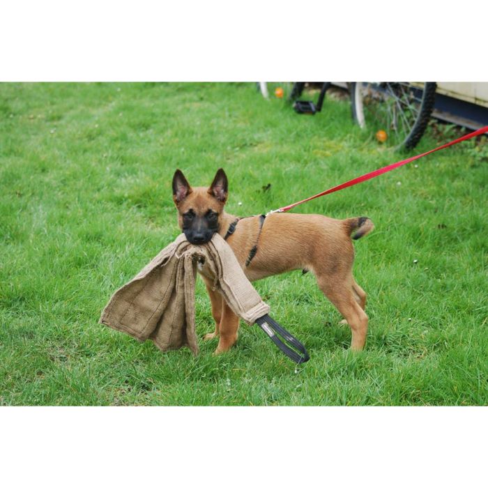 Dingo Gear Trapo de yute con asa