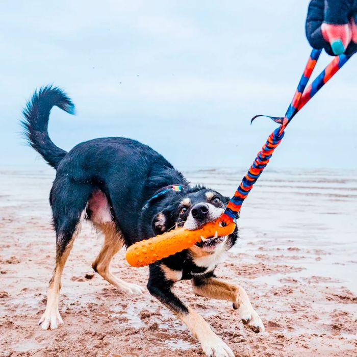Tug-E-Nuff BOB: The 3-in-1 Dog Dummy