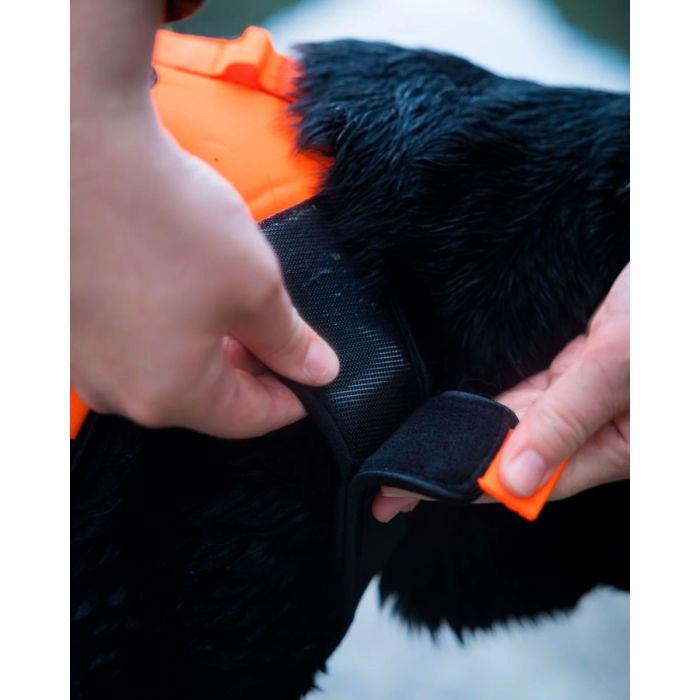Non-stop dogwear Protector neoprene vest