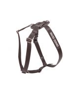 Dingo Gear Arnés WEDA para rastro