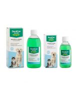 Stangest Dentican soluble