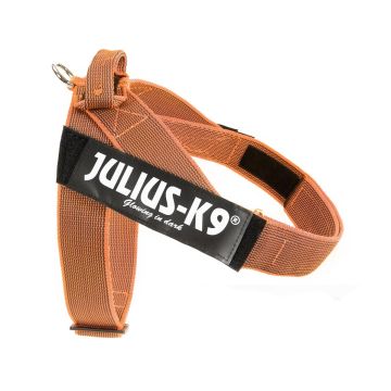 Julius-K9 Arnés IDC de cinta naranja