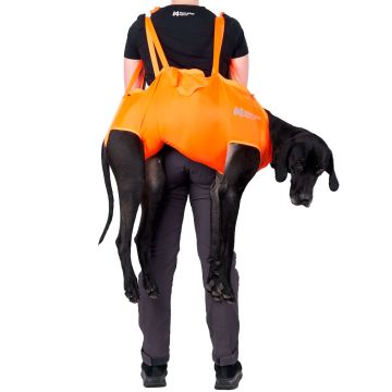 Persona transportando a un perro con un arnés de rescate naranja Non-stop Dog rescue sling.