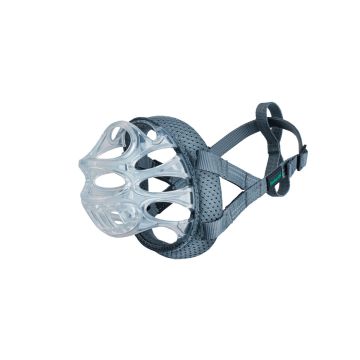 Bozal de cesta transparente Baskerville Invisa y un perro border collie llevándolo puesto de forma cómoda.