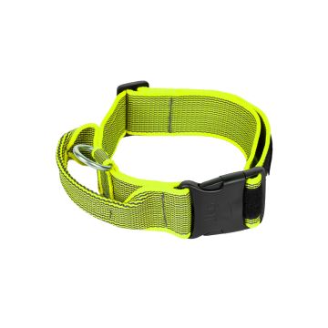 Collar con Asa Julius K-9 en nylon reforzado, diseño deportivo y resistente, con hebilla de alta carga y asa de control.