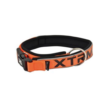 Collar para perro naranja neón marca Nayeco modelo X-TRM con acolchado negro y cierre de click