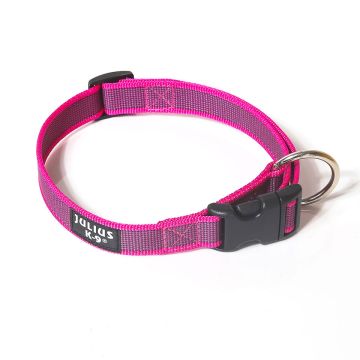Julius-K9 Collar color & gray rosa