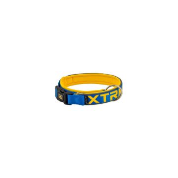 Collar X-TRM Neon Cobalto con interior acolchado y bandas reflectantes