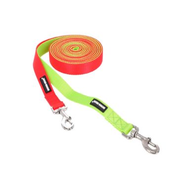 Dingo Gear Juego de dos correas para entrenamiento sin asa 25 mm x 4 m