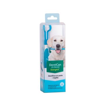 Stangest Kit dental Dentican