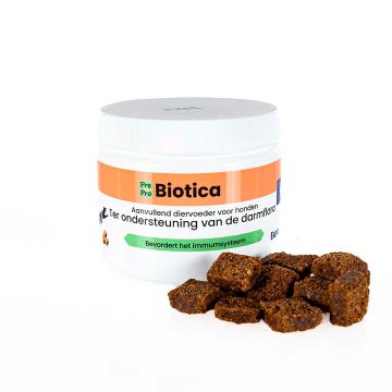 Bote de suplemento Euro Joe Pre y Probiótica junto a snacks masticables para la digestión del perro