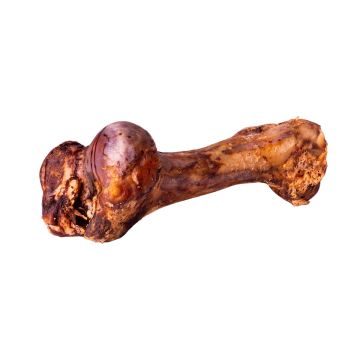 Quibro Hueso de mamut 1 kg