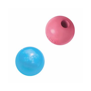 Kong Puppy Ball