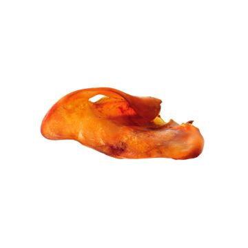 Dingo Oreja de cerdo ahumada