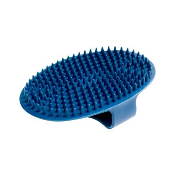 HS Sprenger Cepillo de curry azul
