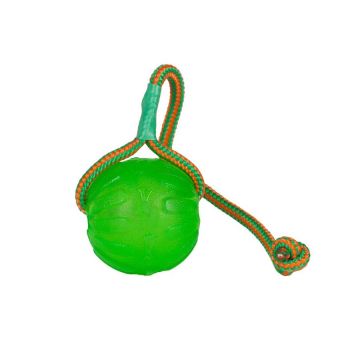 Starmark Swing N Fling Chew ball