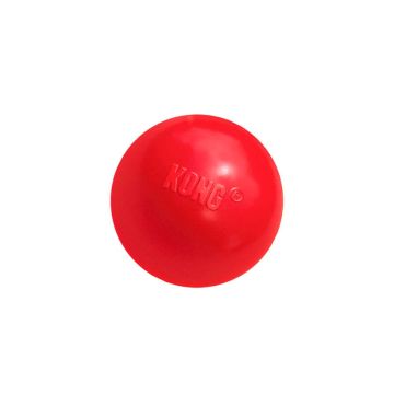 Kong Pelota maciza