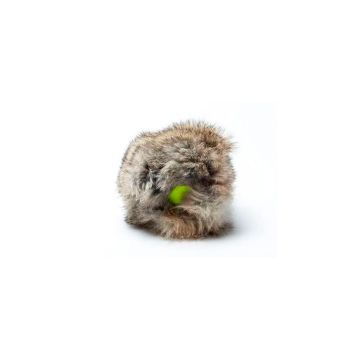 Sporthund Pelota de tenis Mystique con funda de conejo